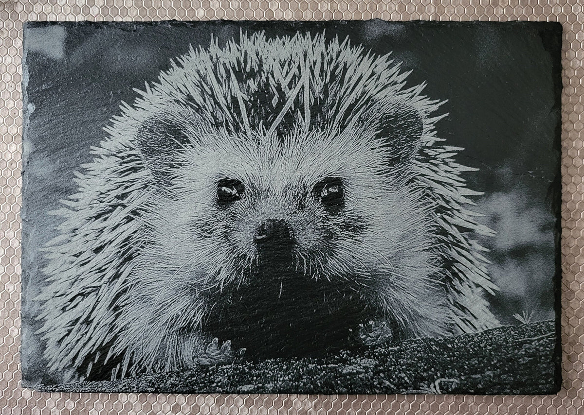 Charming laser-engraved hedgehog slate