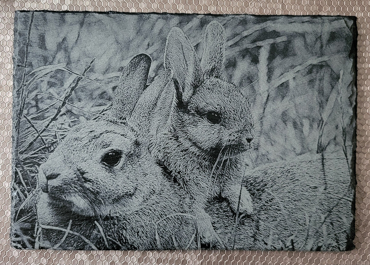 Beautifully detailed laser-engraved slate featuring two charming bunny rabbits