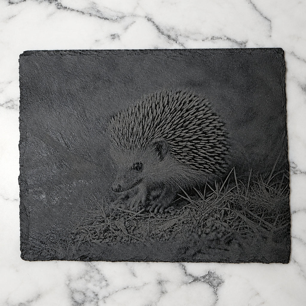 Laser-engraved slate, Hedgehog