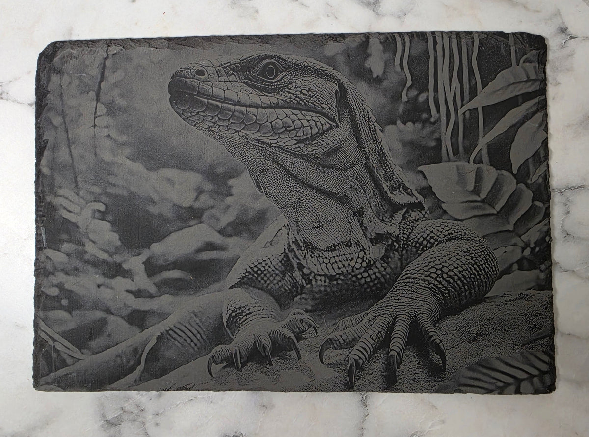 Slate, Lasered engraved, Lizard