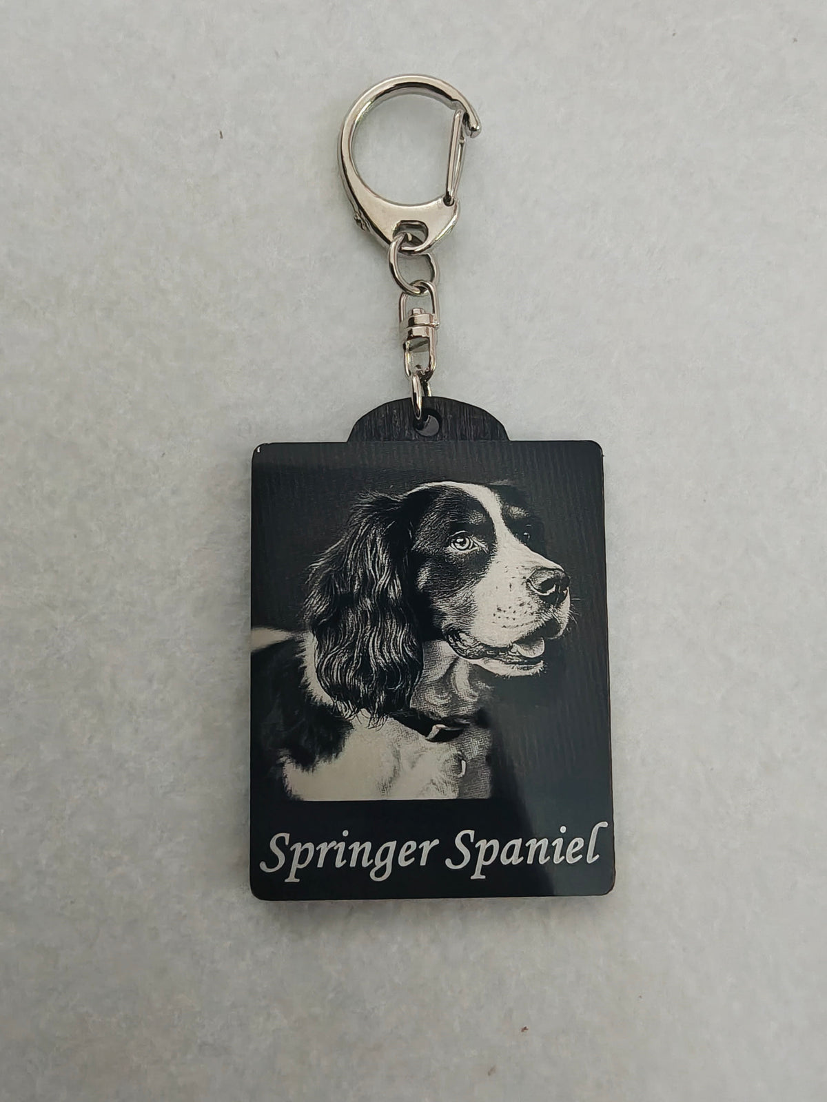 Springer spaniel, Keyring