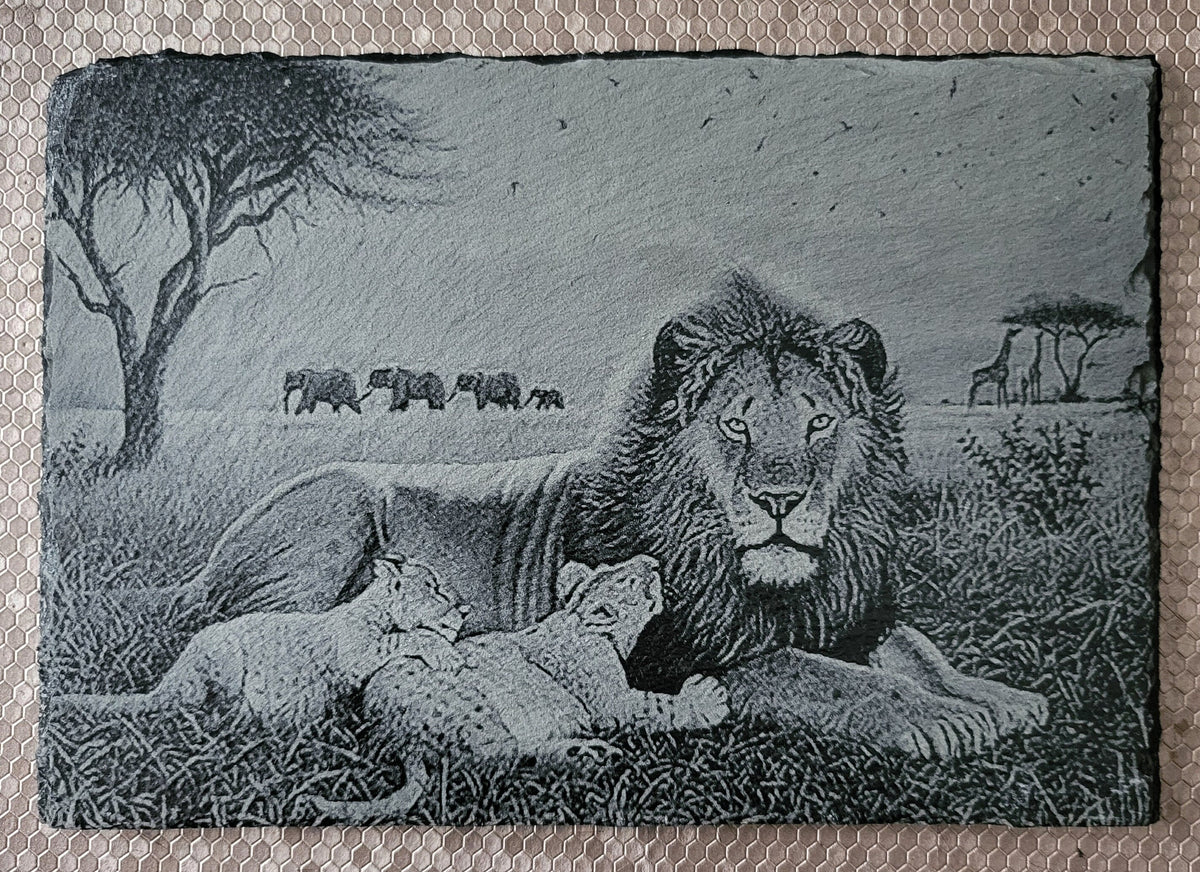 Slate, Lasered engraved, Lions.
