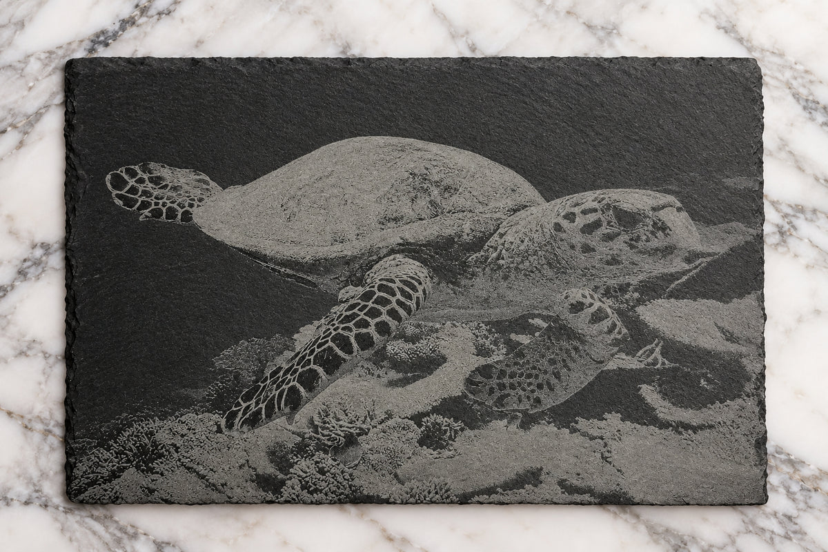 Slate, Lasered engraved, Sea Turtle