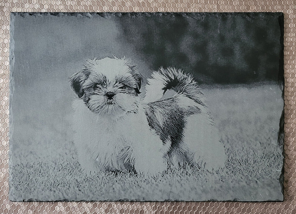 Slate, Lasered engraved, Dog, Shih tzu.