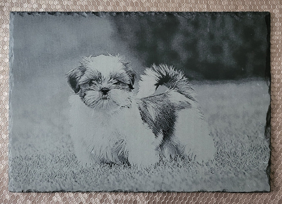 Slate, Lasered engraved, Dog, Shih tzu.