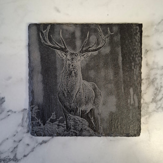 Slate coaster