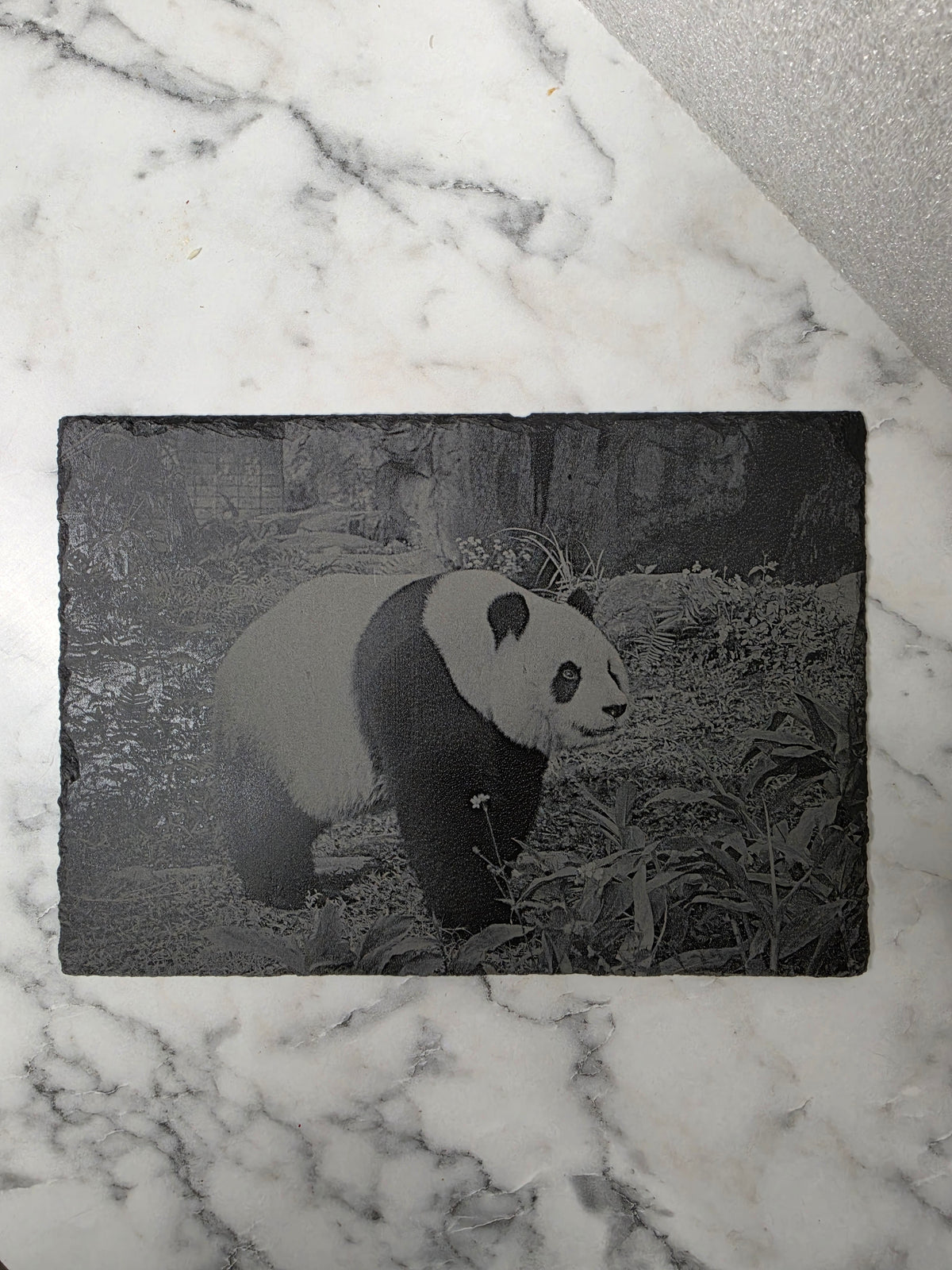 Laser-engraved  slate, Panda