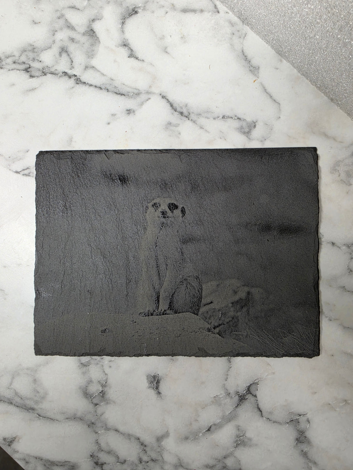 Slate, Lasered engraved, Meercat