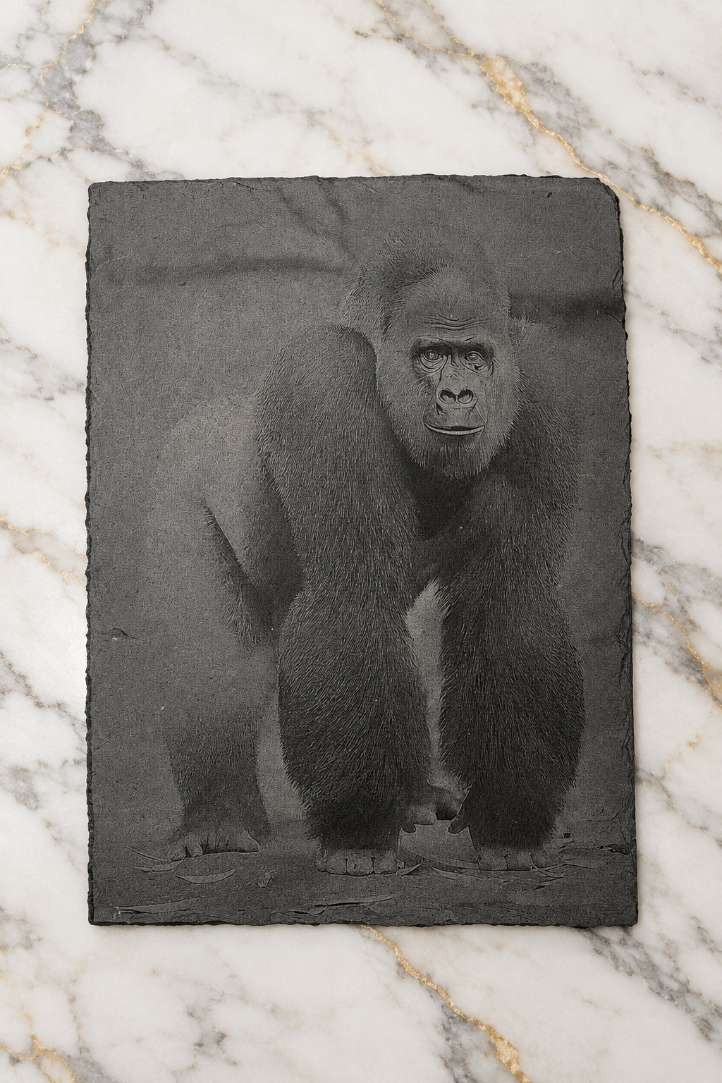 Laser-engraved  slate,  Gorilla