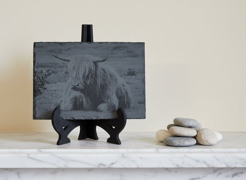 Lasered Engraved slate of Highland cow