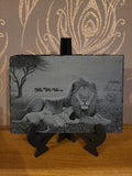 Slate, Lasered engraved, Lions.