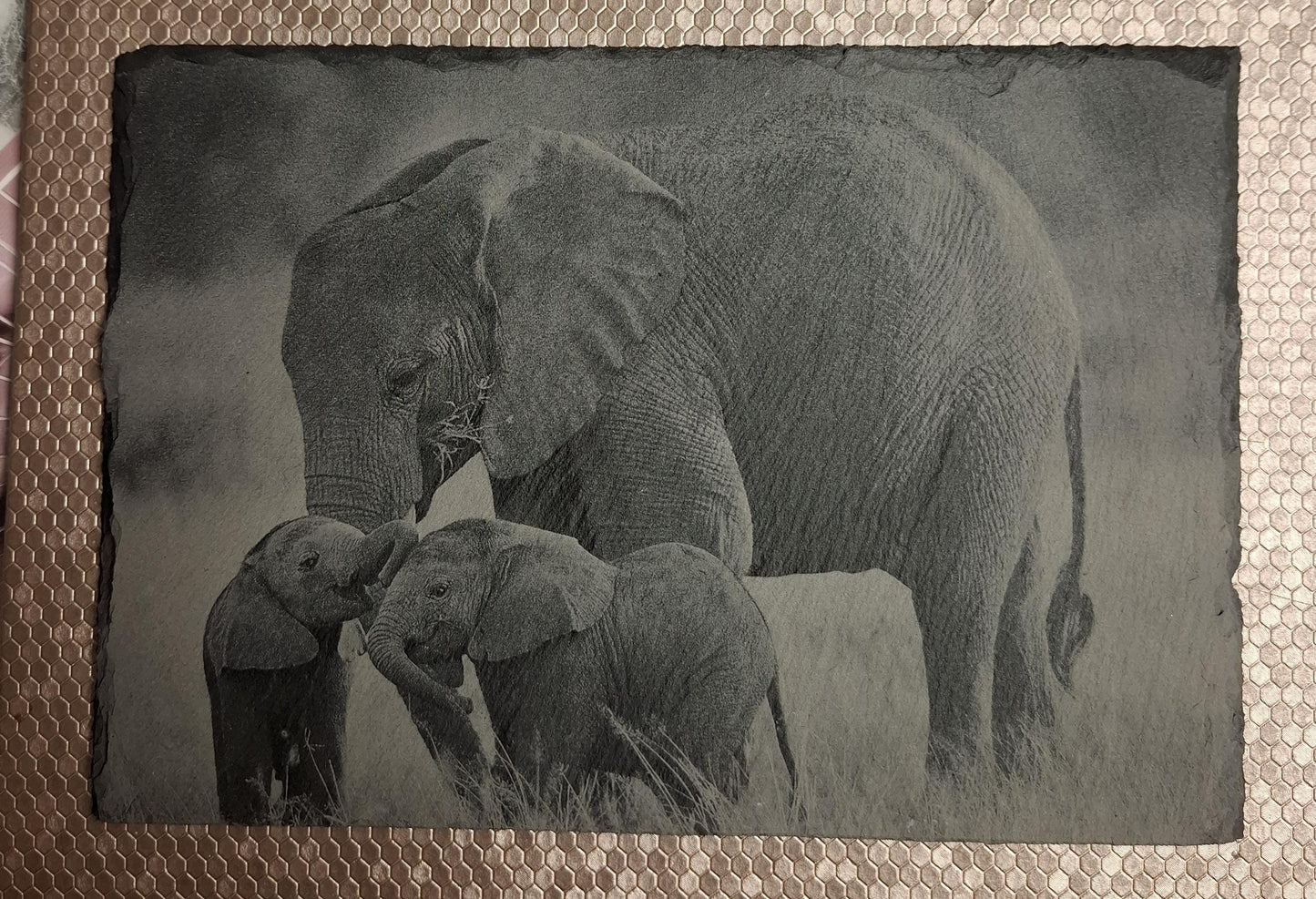Slate, Lasered engraved, Elephants