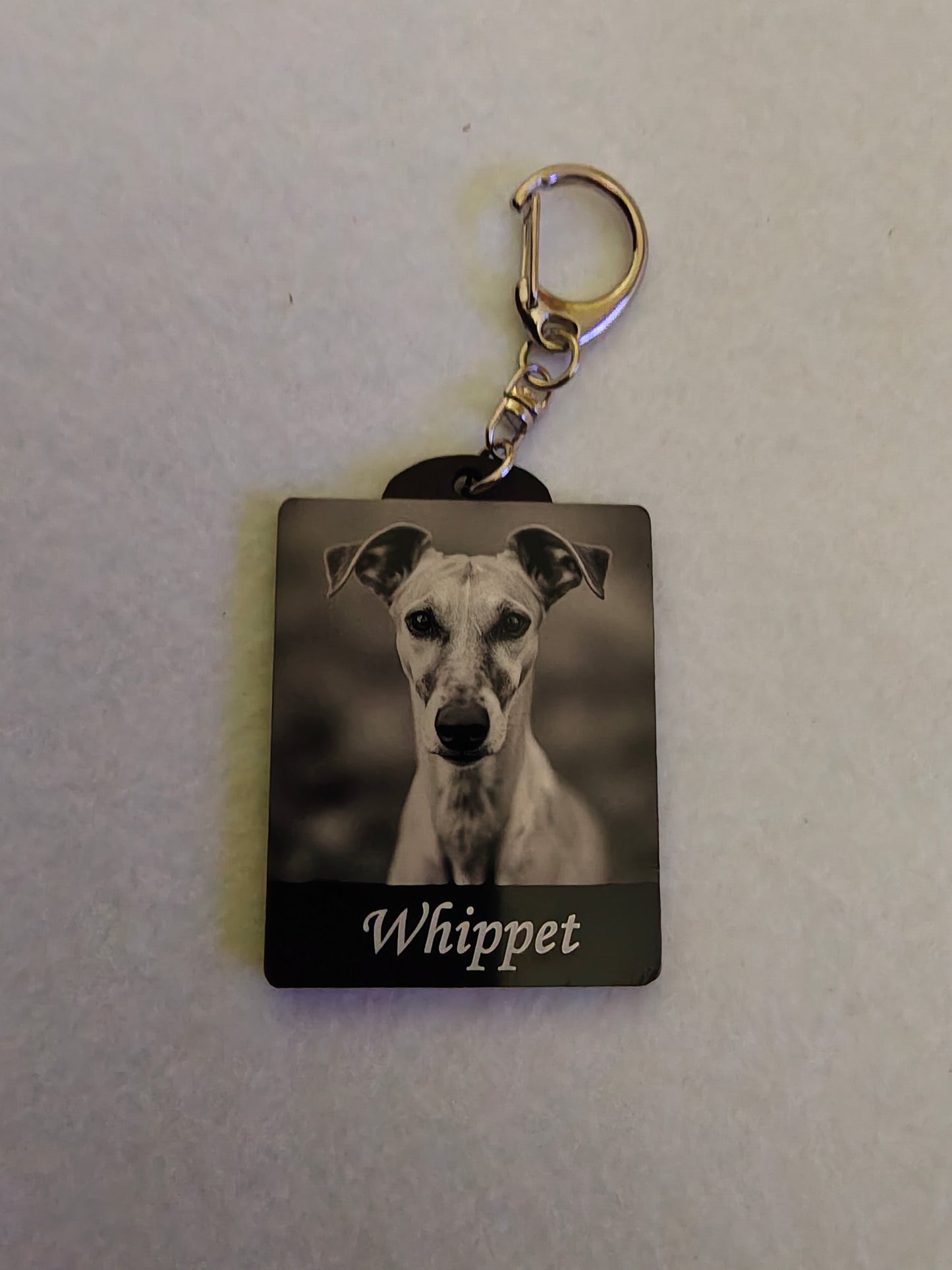 Whippet, Keyring