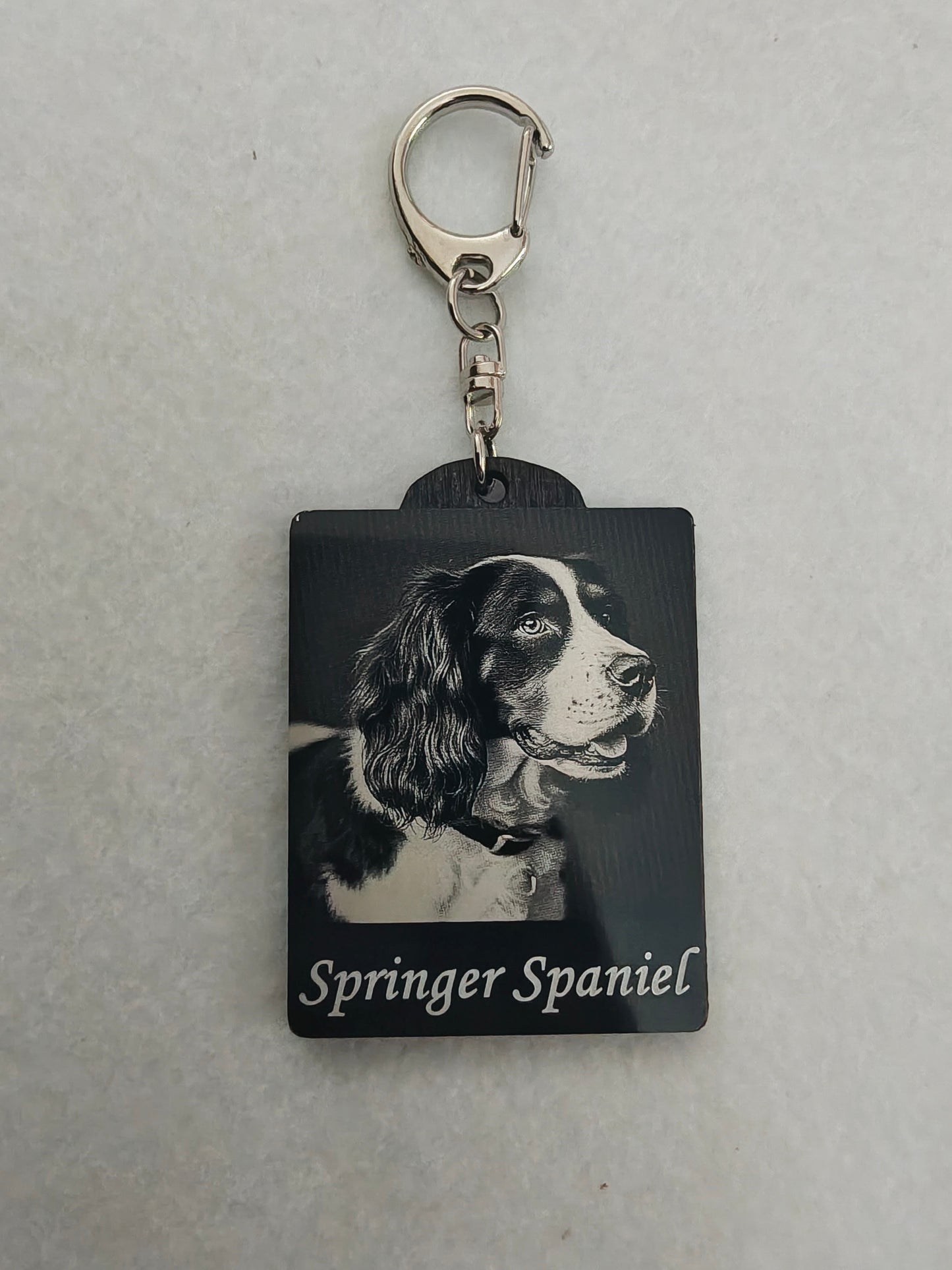 Springer spaniel, Keyring