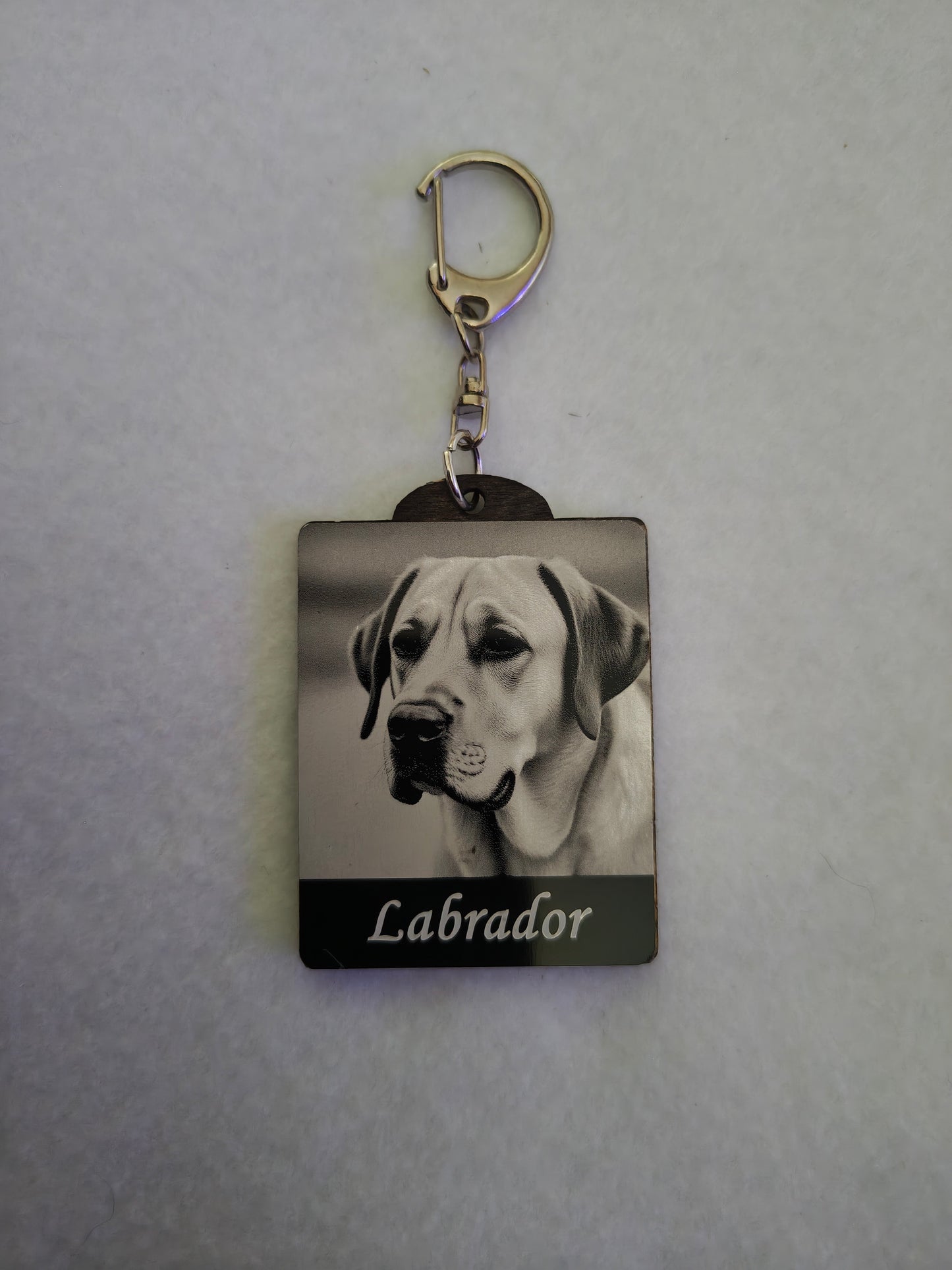 Labrador, Keyring