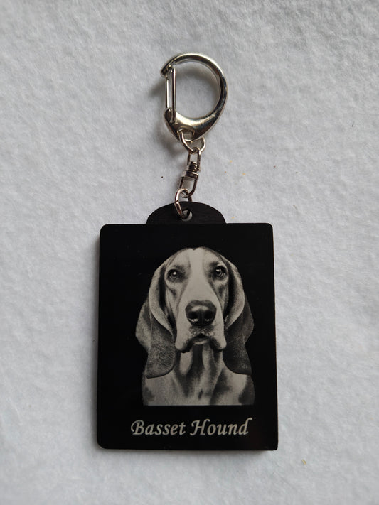 Basset hound, Keyring