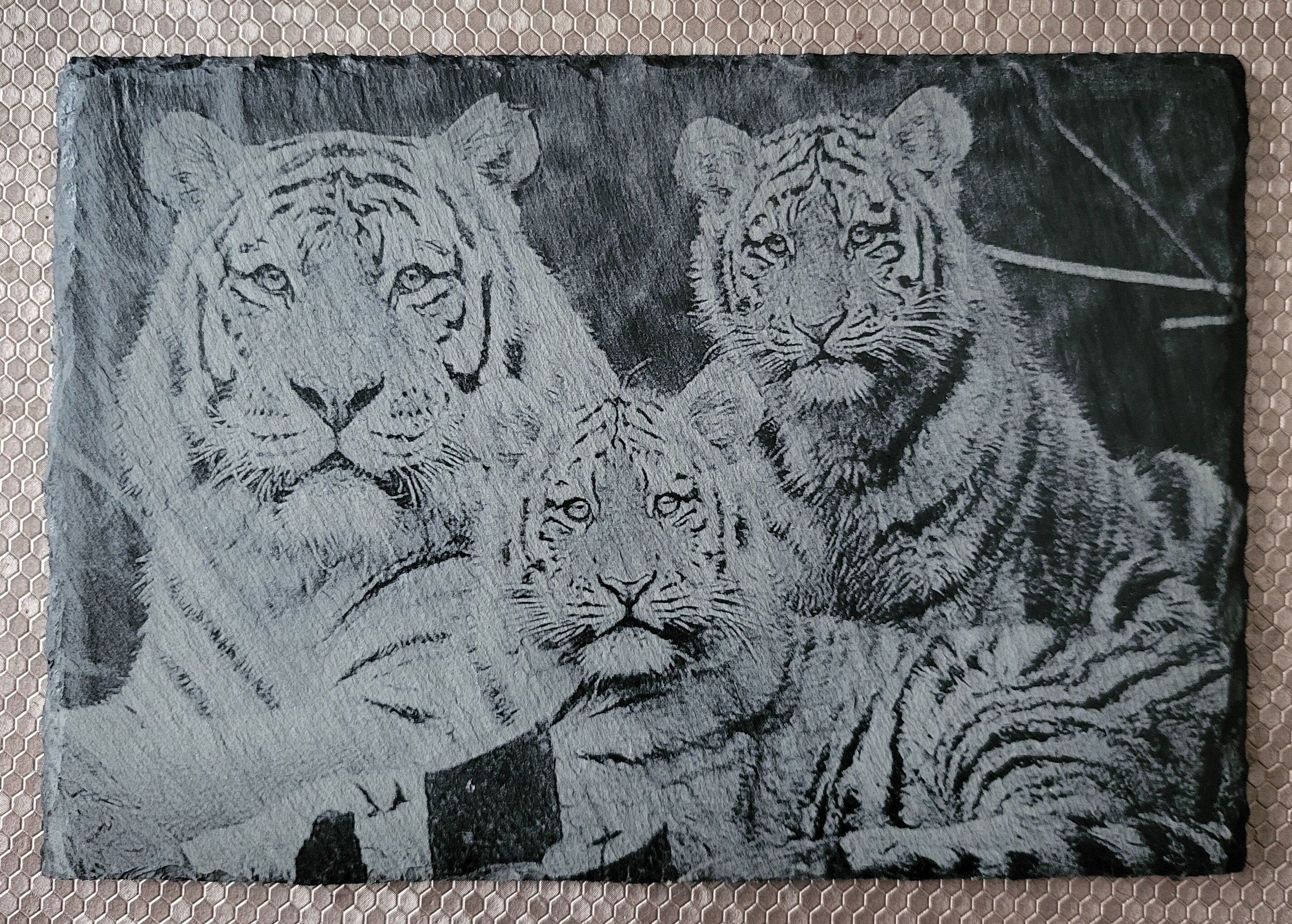Stunning laser-engraved slate featuring a majestic tiger family design