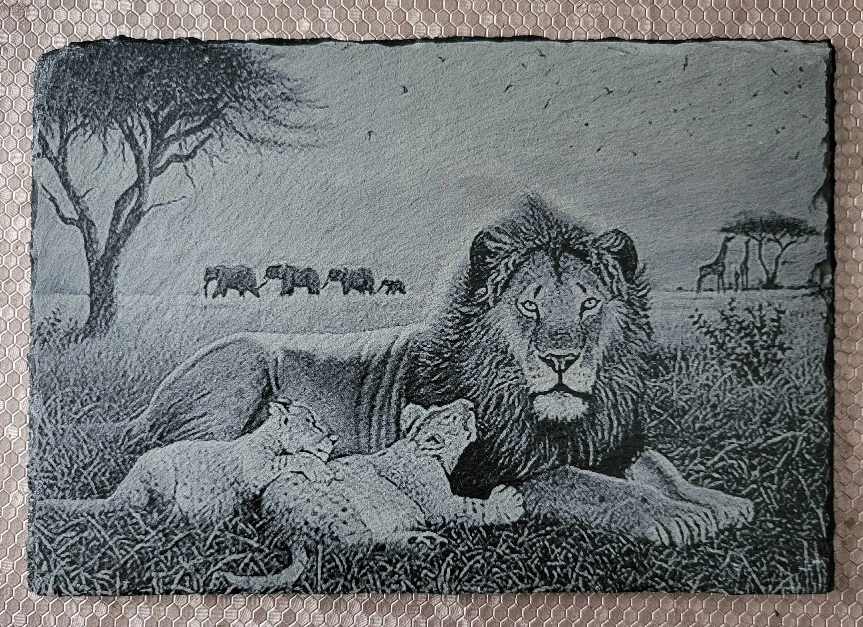 Slate, Lasered engraved, Lions.