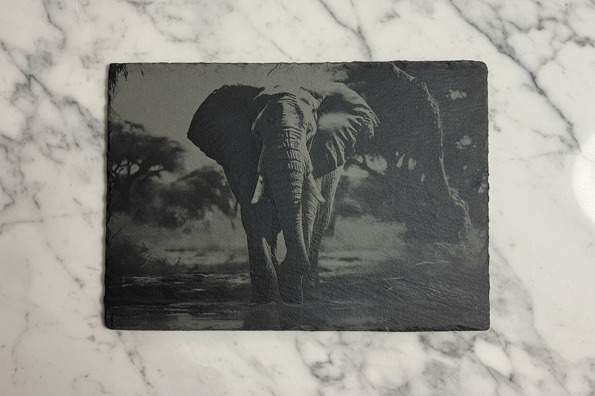 Slate, Lasered engraved, Elephant